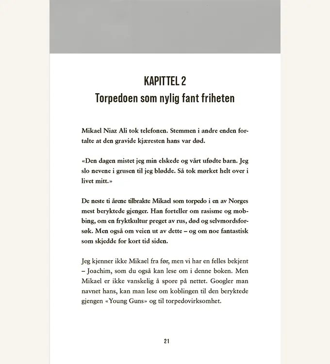 Kapittel 2 innmat